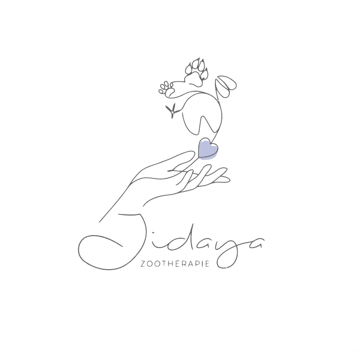zoothérapie Jidaya lannion saint brieuc guingamp cotes d'armor bretagne