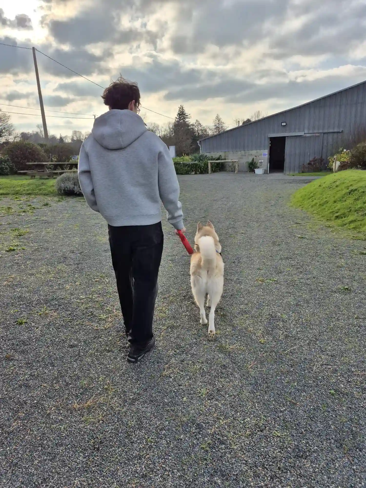 Jidaya Zoothérapie Lannion Guingamp Paimpol Saint-Brieuc